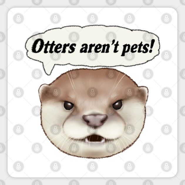 Otters aren't pets Magnet by OtterFamily